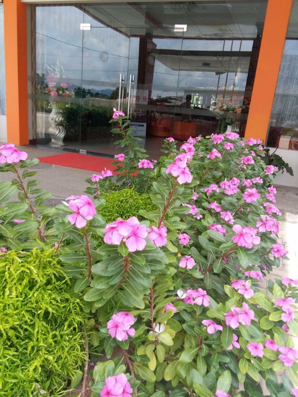 Fortune Front One Hotel Kendari Kültér fotó