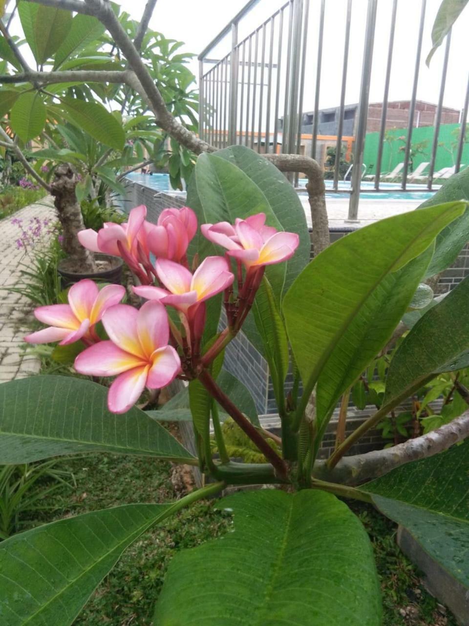 Fortune Front One Hotel Kendari Kültér fotó